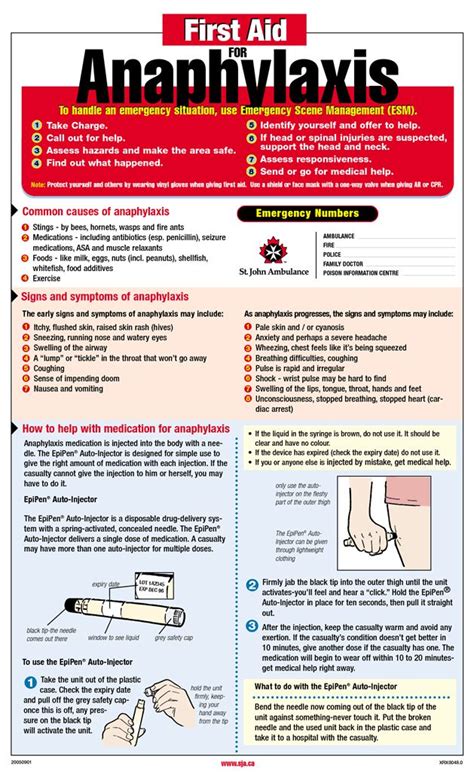 Anaphylaxis Poster First Aid By Dfsdf224s Medical Knowledge