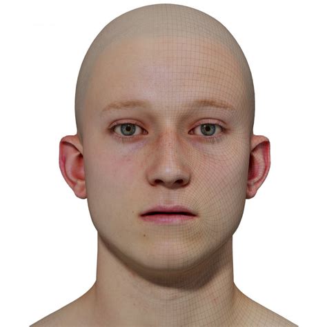 Male 3d Model Retopologised Head Scan 02