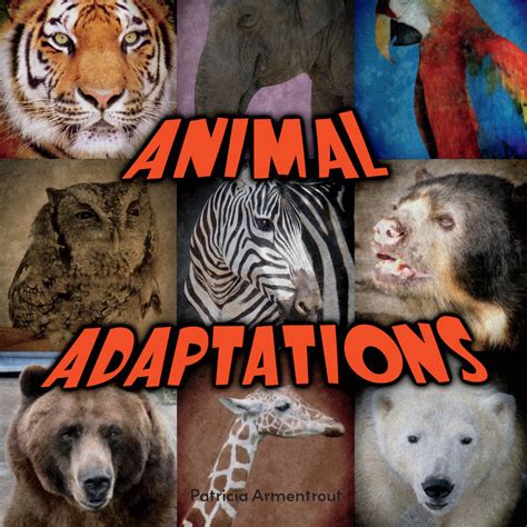 Top 151 Cool Animal Adaptations