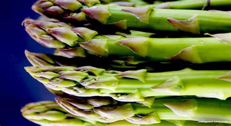 Gli asparagi, come si conservano, come si cucinano… quando la fantasia in cucina non manca, gli asparagi possono diventare protagonisti di varie ricette, dalle lasagne alle crespelle fino ai risotti. Asparagi stagionalità e cottura: le cose da sapere sugli ...