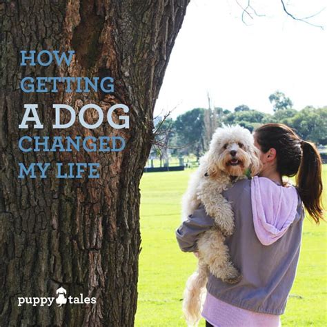 How Getting A Dog Changed My Life Toby Wigglebottom