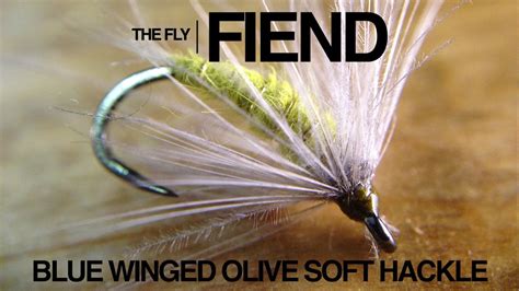 Blue Winged Olive Soft Hackle Fly Tying Tutorial The Fly Fiend Youtube
