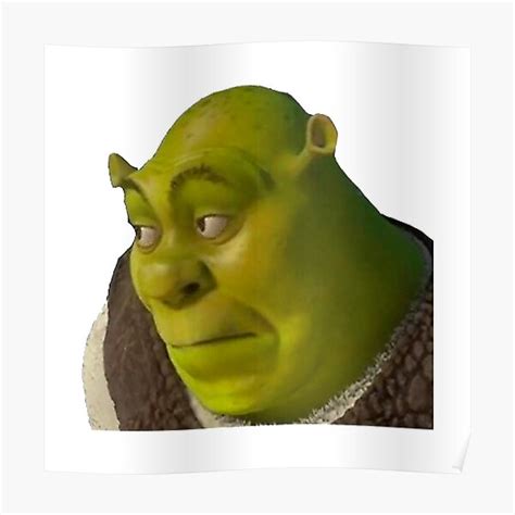 Shrek Meme Poster For Sale By Amemestore Redbubble