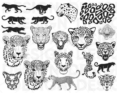 Leopard Svg Bundle Leopard Head Svg Cricut Cameo Silhouette Etsy