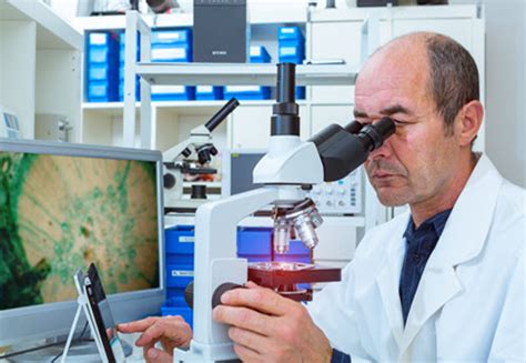 What Is A Pathologist And What Does A Pathologist Do A Guide To