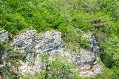 Rocky Cliff In Dense Green Forest Spring Colors In The Mountain Forest
