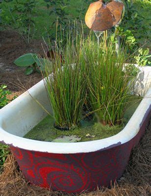Water garden 2.0 aquaponic fish tank ecosystem is the perfect gardening gift! 27 best images about Garden bathtub on Pinterest