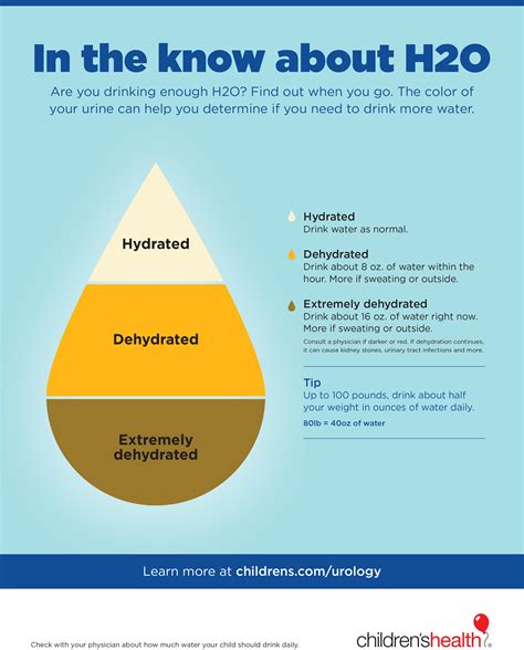 Hydration Tips For Children Infographic Childrens Health