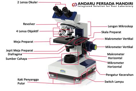 Fungsi Jenis Dan Bagian Bagian Mikroskop Binokuler Sexiz Pix