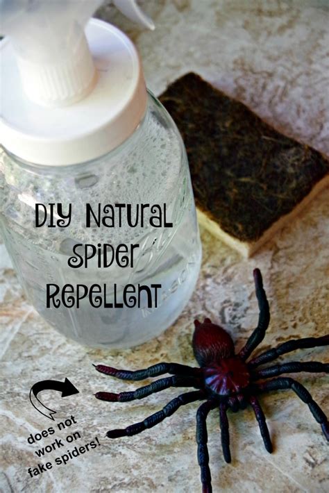I will show you some of the most common ways and entry points that. How to Keep Spiders out of the House and a DIY Natural ...
