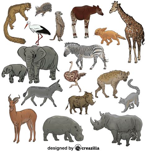 Set Of African Safari Animals Vector Free Download Creazilla