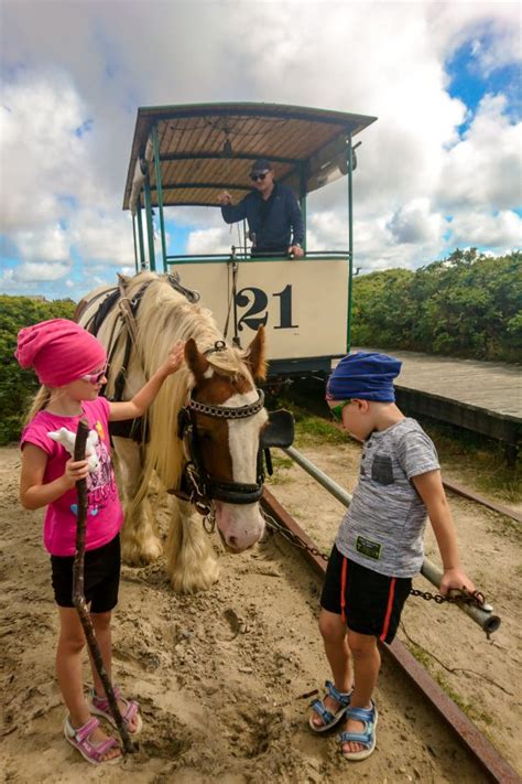 46+ toll bilder haus sturmeck spiekeroog : Spiekeroog - Urlaub für Familien und Ruhesuchende