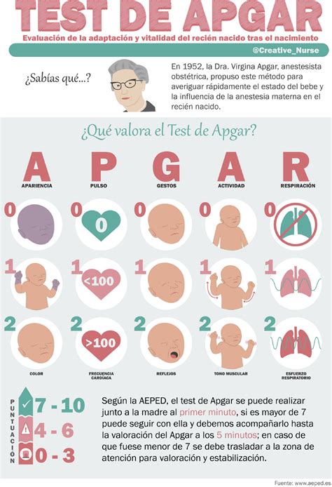 Test De Apgar Pediatria Anatomia Studocu