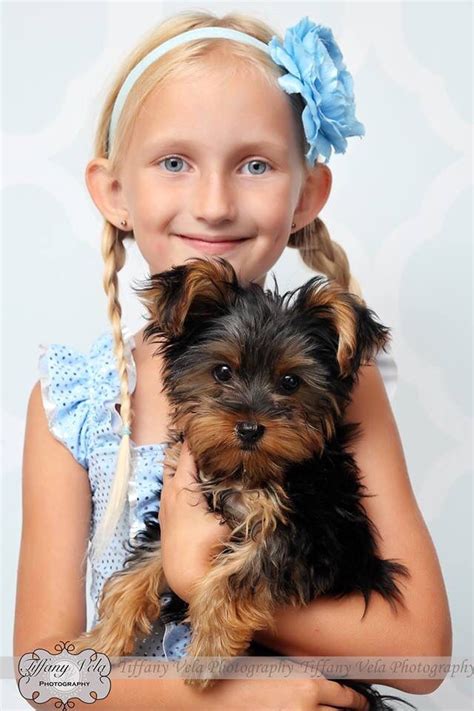 Yorkie Lilly With Natalie Such A Cute Puppy She Is Cute Puppies
