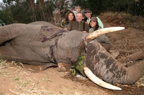 African Big Game Hunting The Business With Endangered Animals
