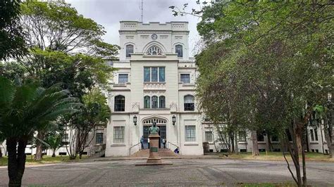 Luniversité De Sao Paulo Un établissement éducatif De Grande Qualité