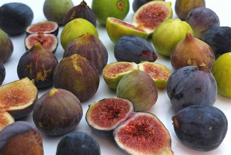 18 Fantastic Fig Tree Varieties To Grow At Home ~ Homestead And Chill