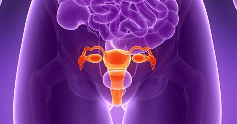 Supporting The Conclusion That Ovarian Cancer Begins In The Fallopian