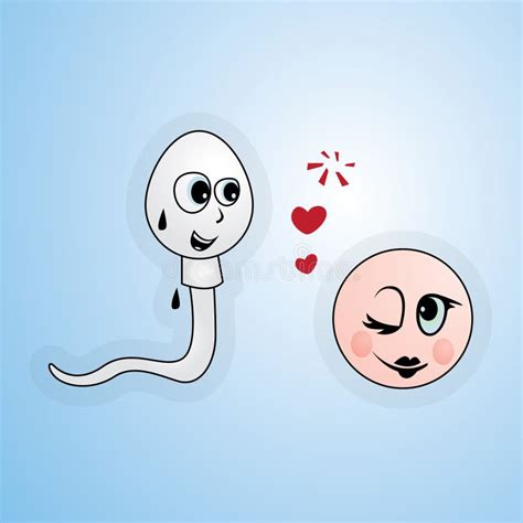 Sperm And Egg Couple Stock Vector Illustration Of Cartoon 21219850