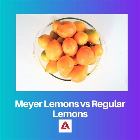 Difference Between Meyer Lemons And Regular Lemons