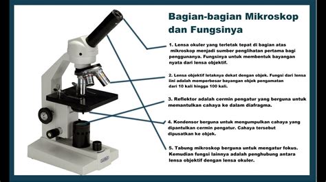 Gambar Mikroskop Beserta Bagian Dan Fungsinya