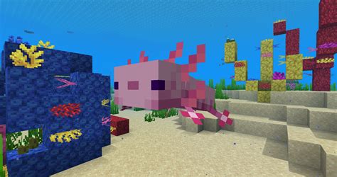 During minecraft live, players voted for a new mob: Minecraft 1.17 Caves & Cliffs - Snapshot 20w51a Axolotls ...