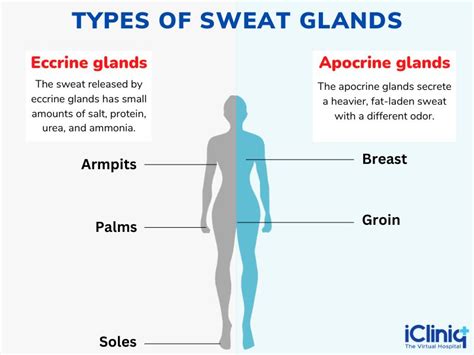 What Is Sweat Types Treatments