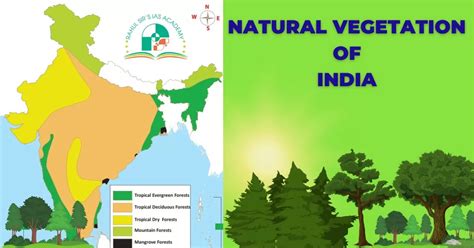 Natural Vegetation Of India Tropical Rainforests Montane Etc