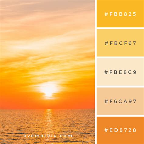 Color Palettes Ave Mateiu Beach Color Palettes Sunset Color Palette