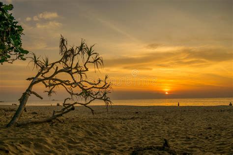 Landscape Of Paradise Tropical Island Beach Sunrise Shot Stock Photo