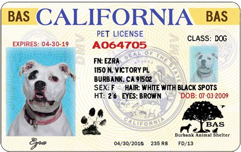 One side displays your state's license plate with your. Animal Shelter Fees - Animal Shelter | Burbank CA Police ...