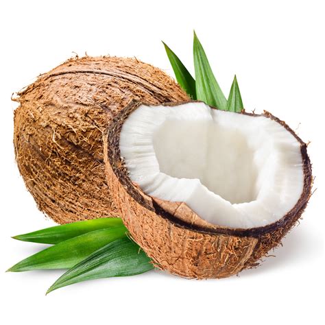 Fresh Coconut 1 Pack Tropical And Rare Fruits Premium Local