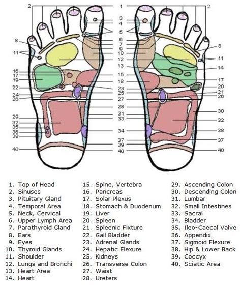 Acupressure Below You Will Find Commonly Used Acupressure Points