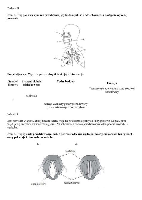Układ oddechowy skóra karta pracy worksheet Workbook Biology