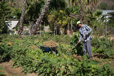 We have exceptional gifts for the gardener on your shopping list. How to Start a Vegetable Garden | Her Campus