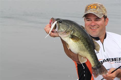 The annual licenses went on sale thursday as . 2017 Top Tennessee Bass Fishing Spots - Game & Fish