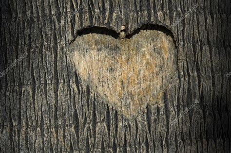 Heart Carved In Tree Trunk — Stock Photo © Joannawnuk 4782964