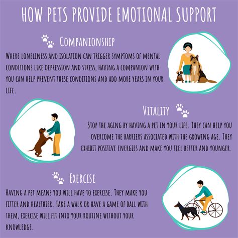 ESA Letter Online for Your Emotional Support Animal | Emotional support animal, Emotional ...