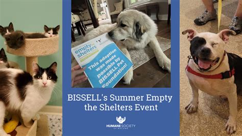 Bissells Summer Empty The Shelters Event Humane Society Of Macomb