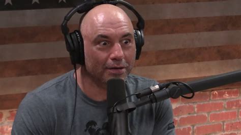 18 Joe Rogan Experience Podcasts You Must Listen From 2019
