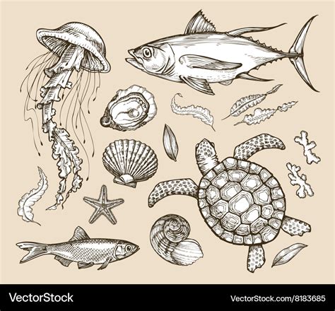 Hand Drawn Sketch Set Marine Animals Wildlife Vector Image