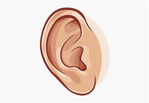 Ear Collection Of Images High Quality Free Awesome Ear Clipart HD