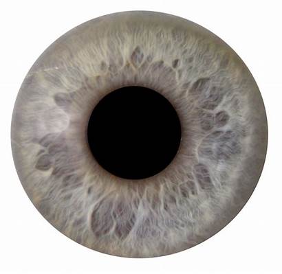 Eye Iris Eyes Human Pupilas Pupil Natural