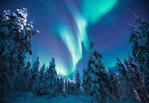 Kakslauttanen Arctic Resort On Twitter Winter Northern Lights See