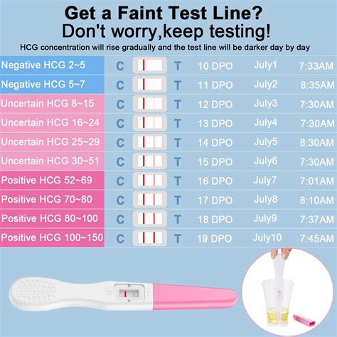 Pregnancy Test Earlydocalon Pregnancy Test Clear At Home Early
