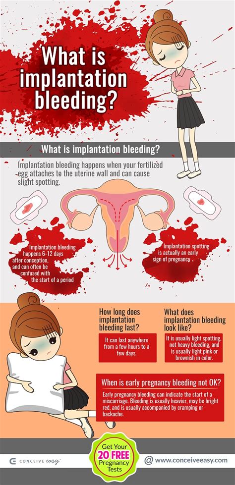 Period Or Early Pregnancy Bleeding