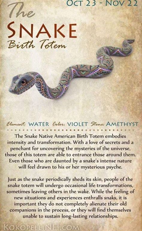 Snake Totem Native American Animals Native American Wisdom Native