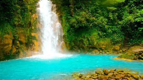 Waterfall Rio Celeste Costa Rica Central America Photo