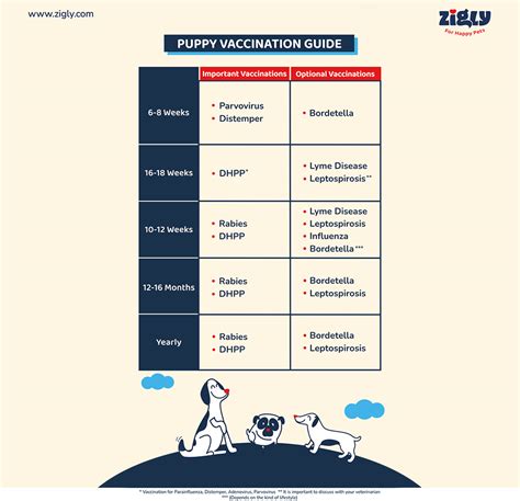 Puppy Vaccination Guide Injections Shots Cost Zigly Blog