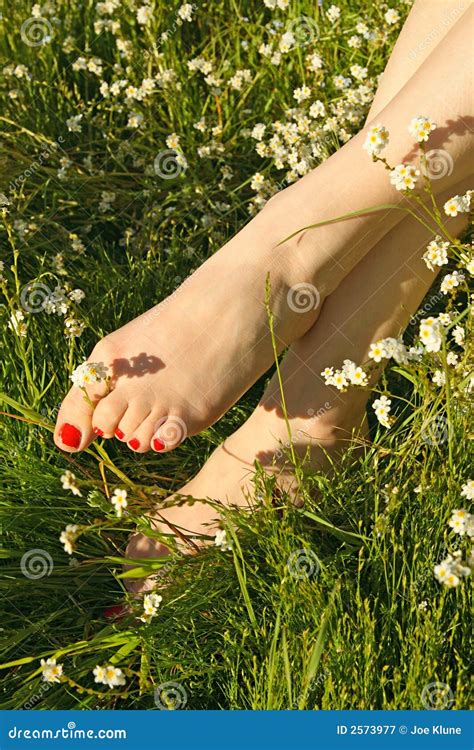 Feet In Spring Flowers Royalty Free Stock Photography Image 2573977
